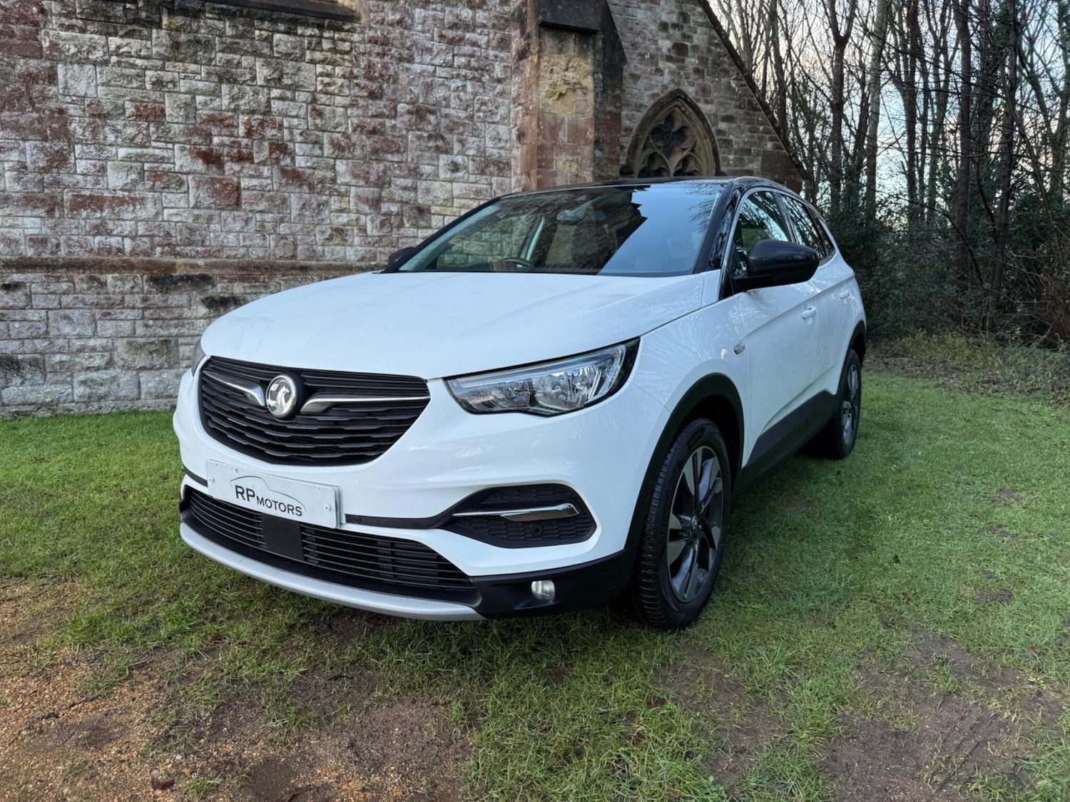Used Vauxhall Grandland X 2019 for sale - 77230669: Photo 11