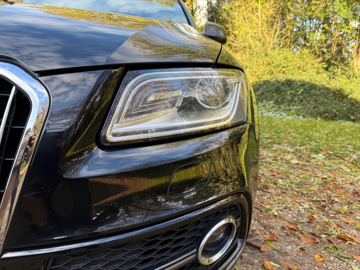 Used Audi Q5 for sale - 76997770: Photo 12