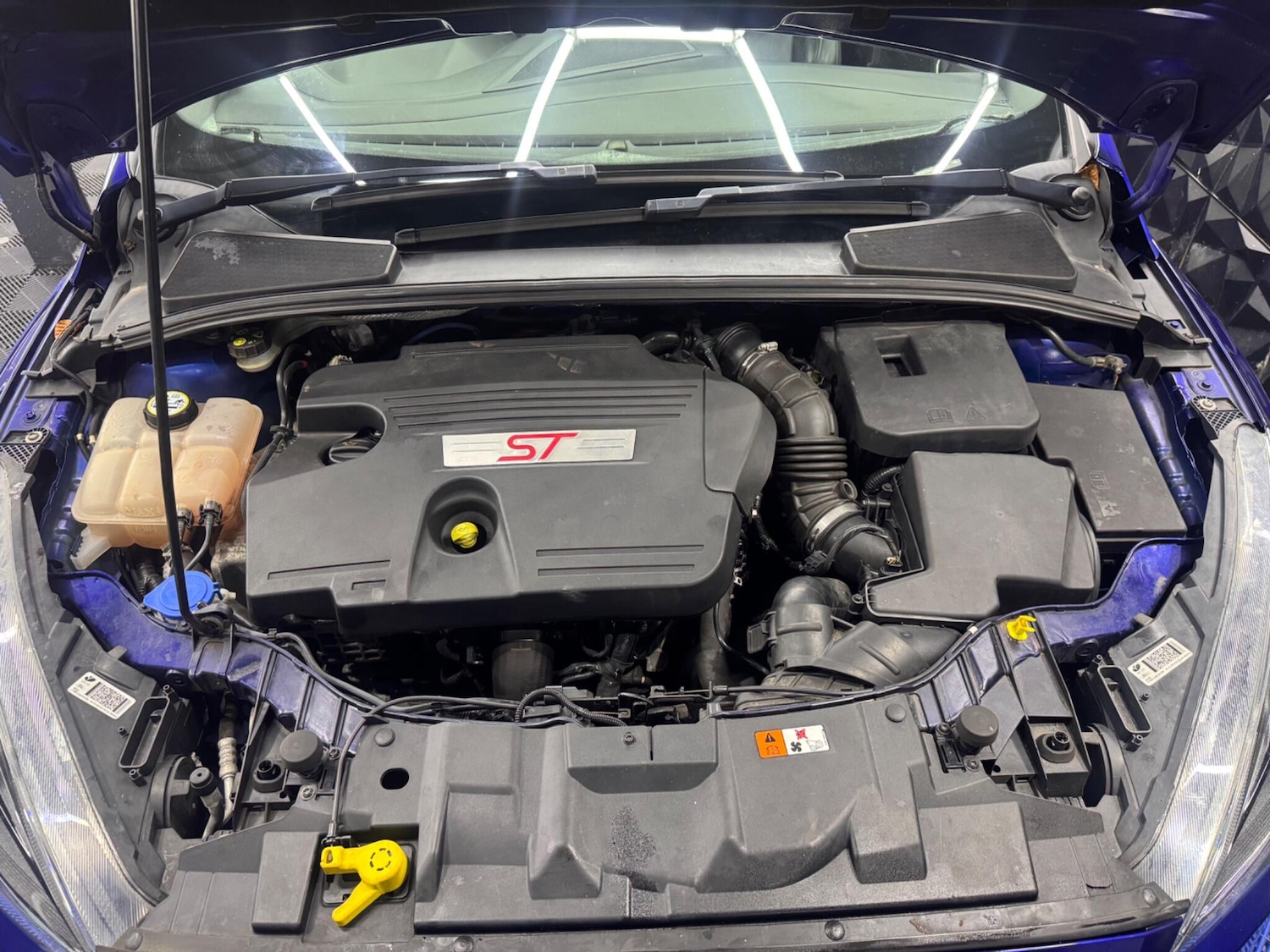 Used Ford Focus 2016 for sale - 77131800: Photo 31