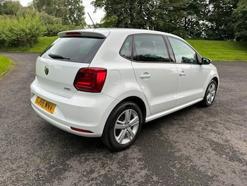 Used Volkswagen Polo 2016 for sale - 78931244: Photo