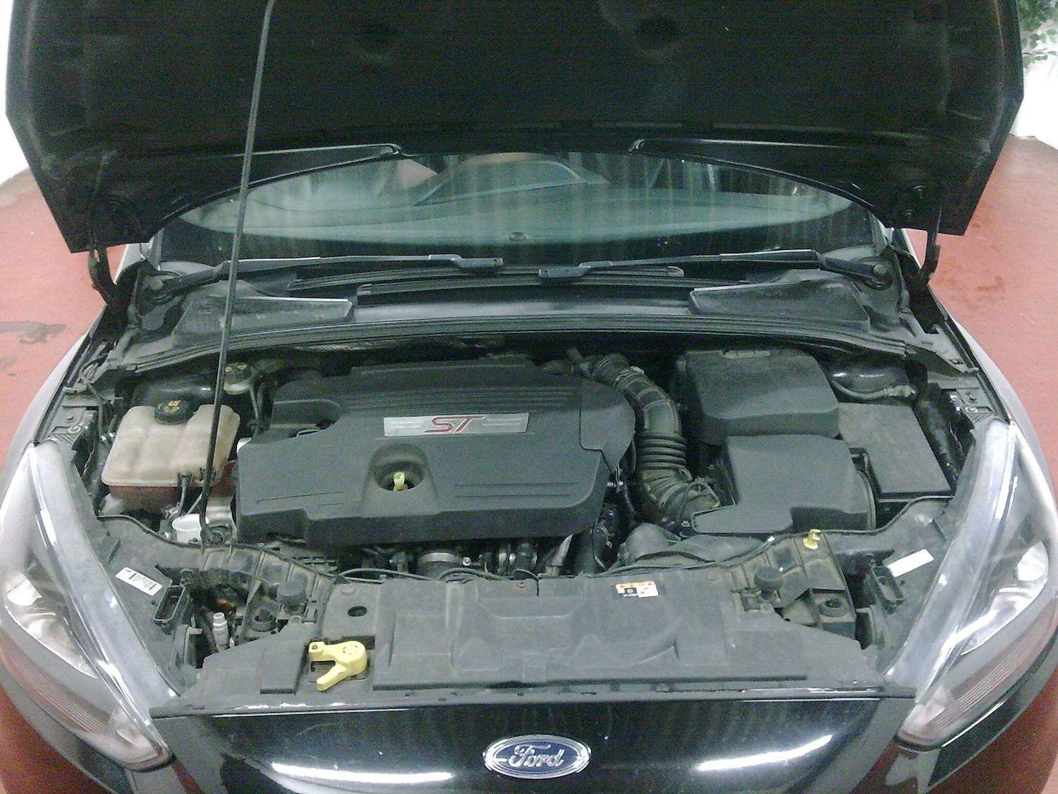 Used Ford Focus for sale - 77278660: Photo 26