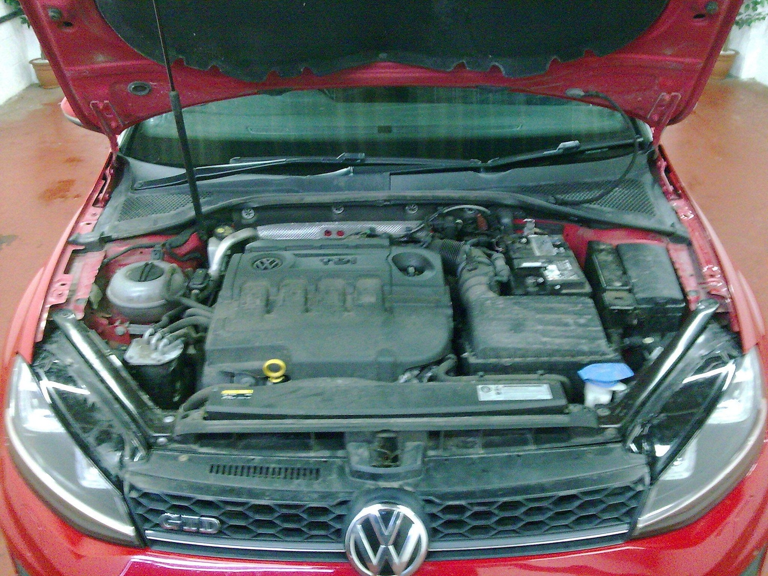 Used Volkswagen Golf 2017 for sale - 77769254: Photo 22