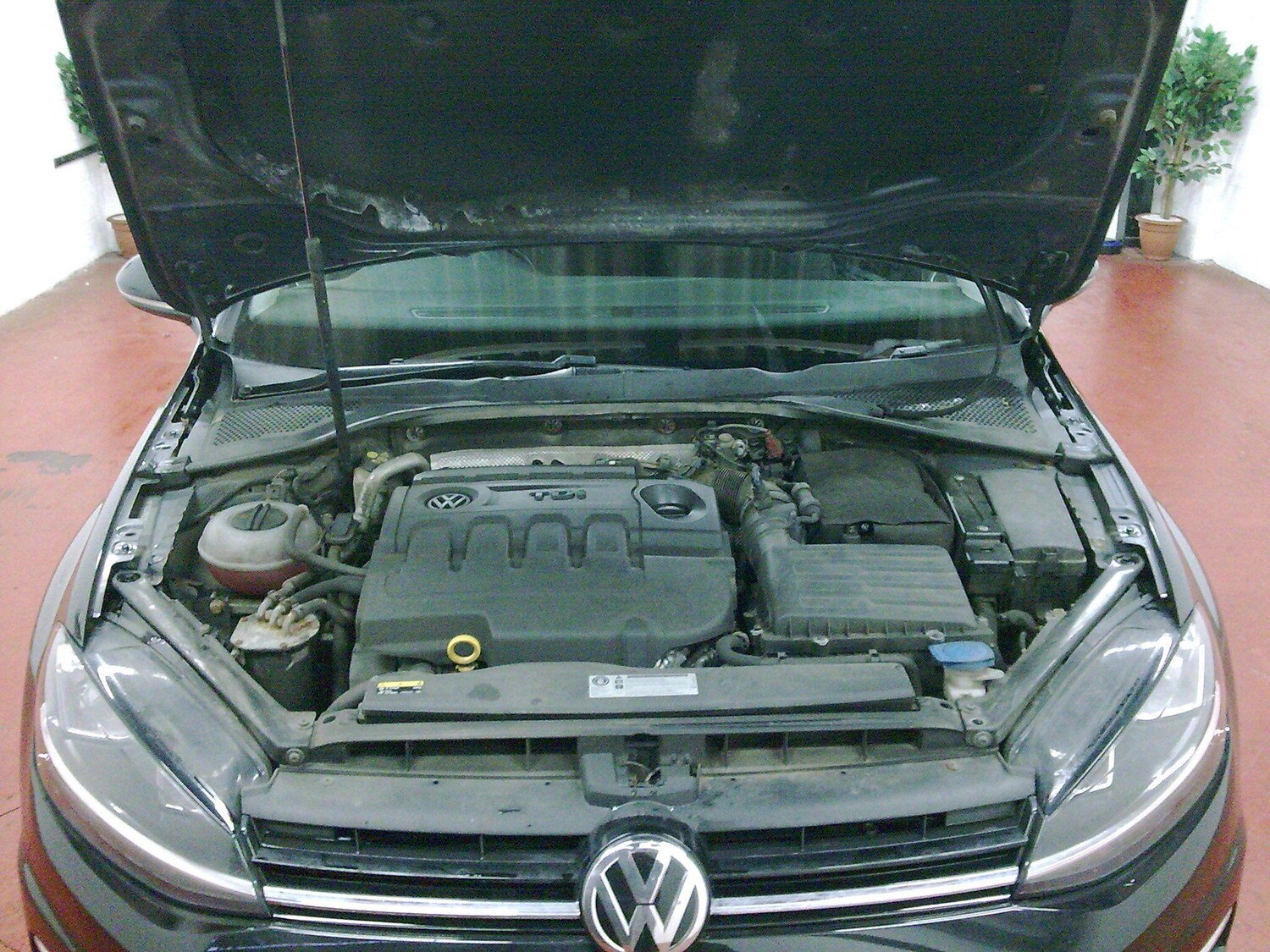 Used Volkswagen Golf for sale - 77722795: Photo 30