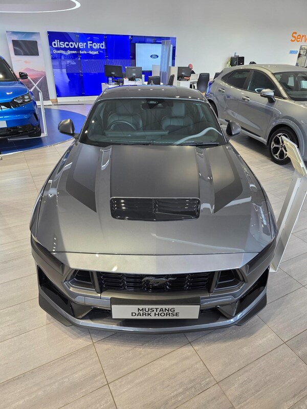 Used Ford Mustang for sale - 74523766: Photo 7
