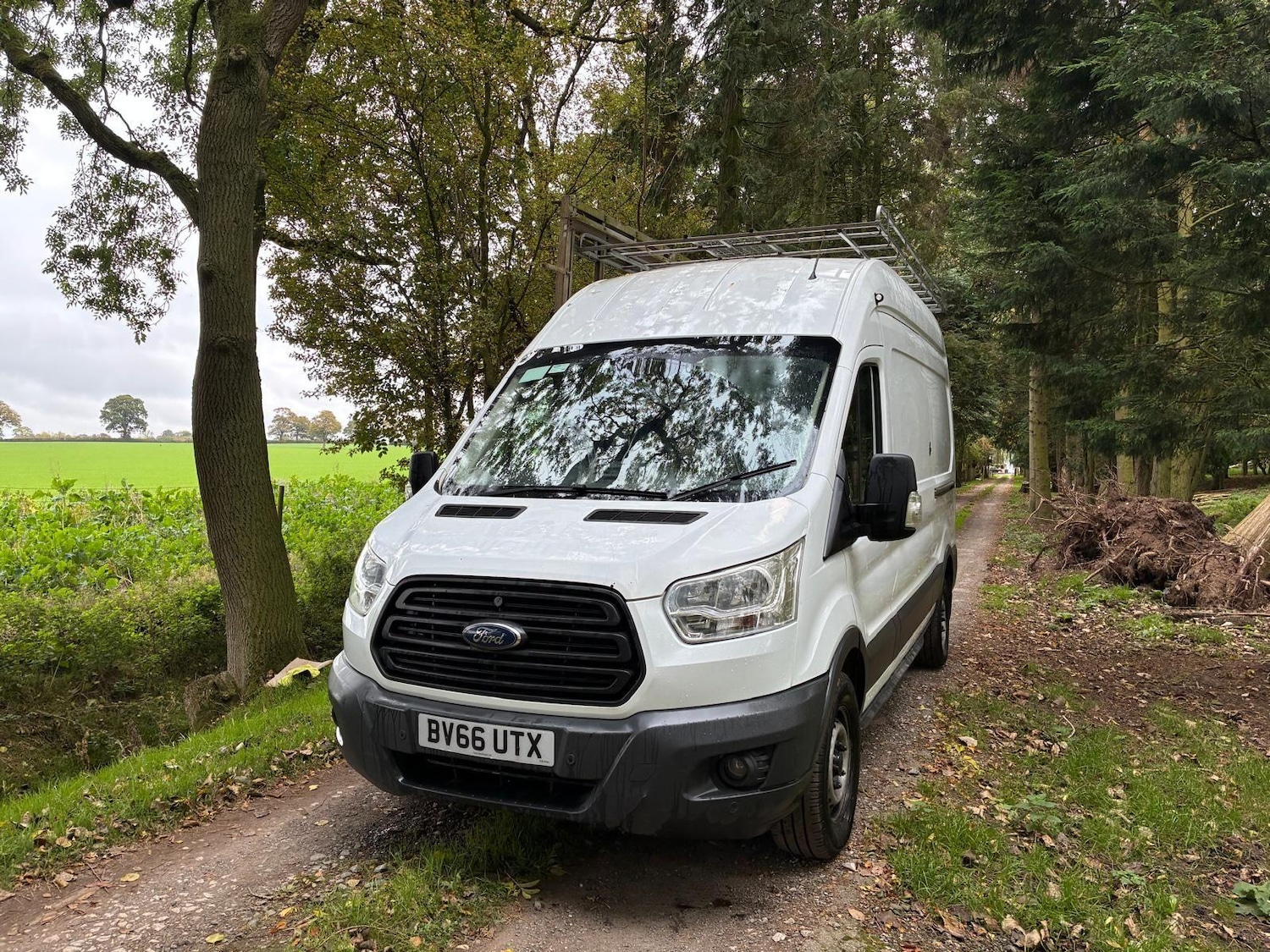 Used Ford Transit 2016 for sale - 76905132: Photo 5