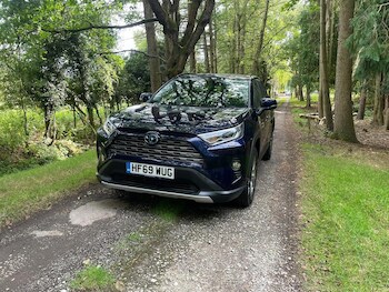 Used Toyota RAV4 2019 for sale - 76905142: Photo