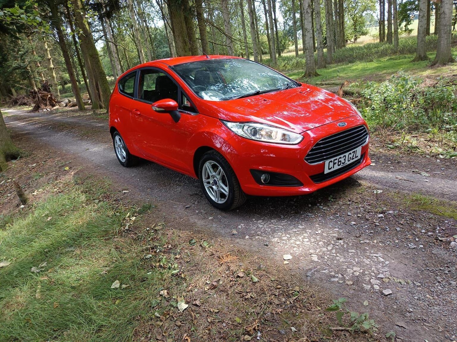 Used Ford Fiesta 2014 for sale - 76905138: Photo 1
