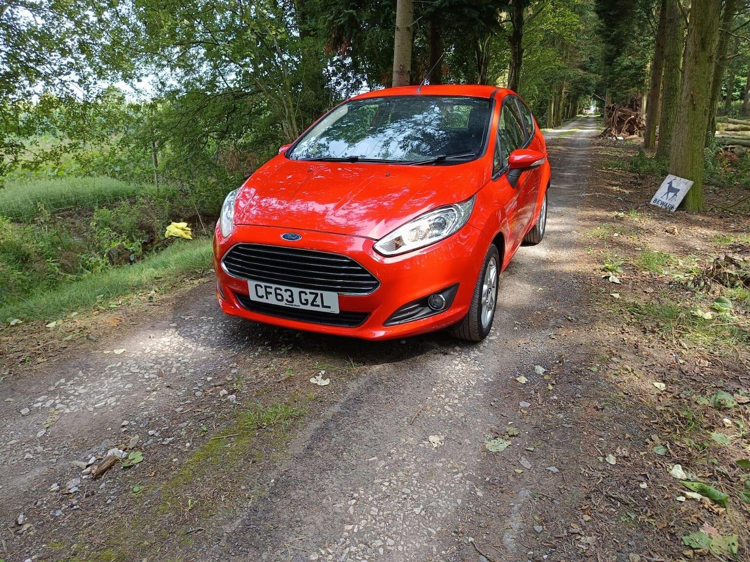 Used Ford Fiesta 2014 for sale - 76905138: Photo 4