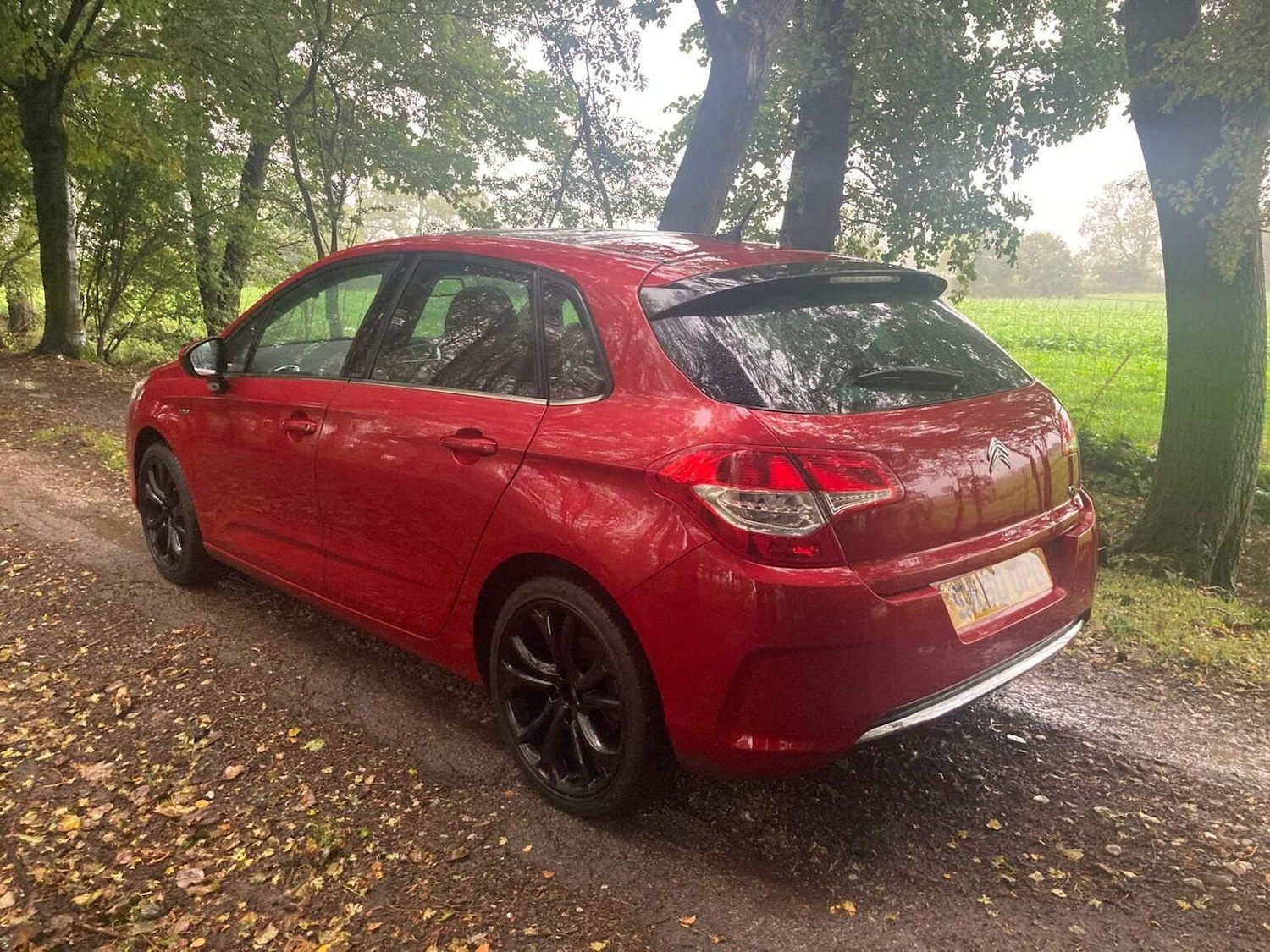 Used Citroen C4 2010 for sale - 76905150: Photo 6