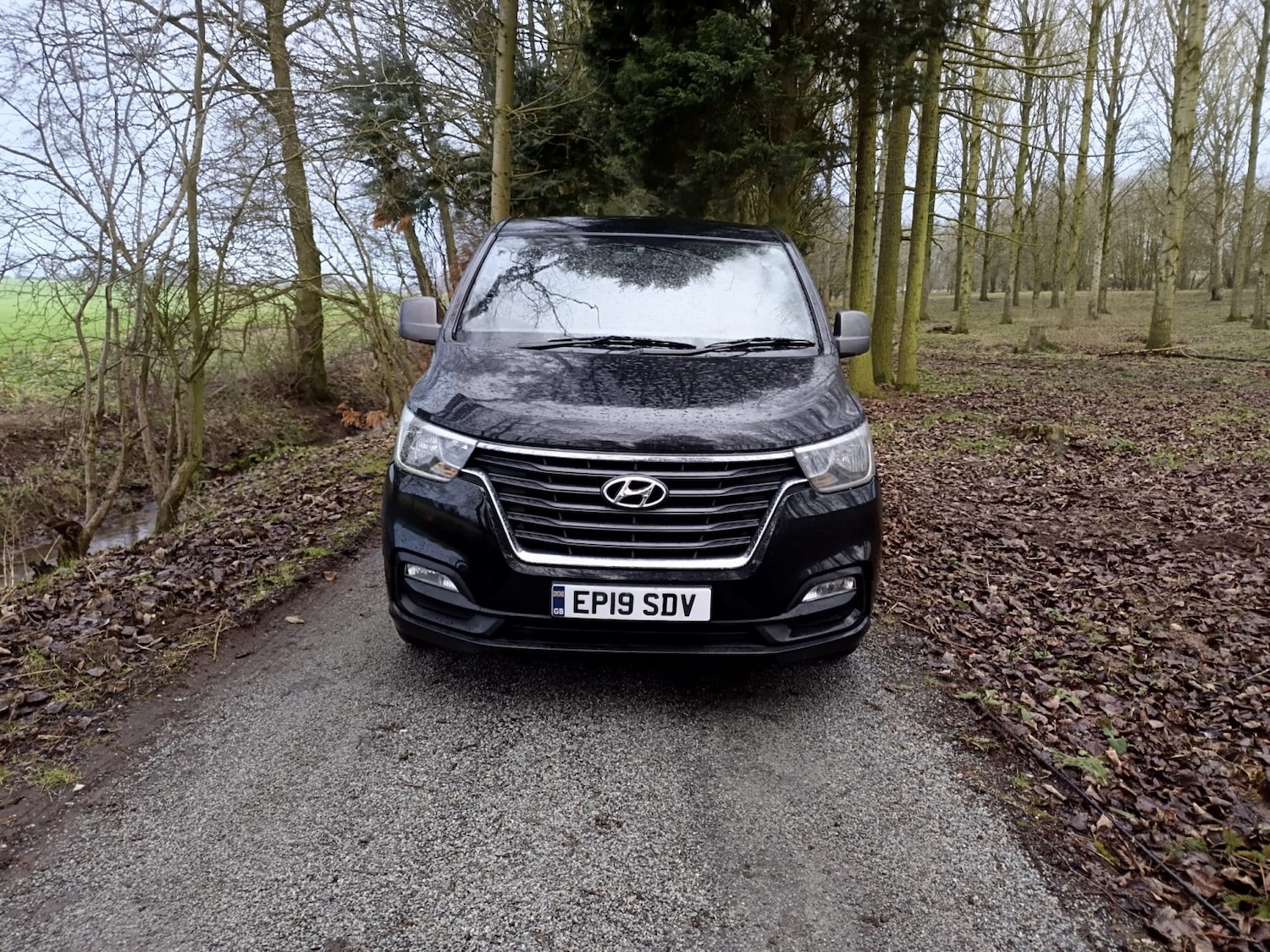 Used Hyundai i800 2019 for sale - 77792791: Photo 3