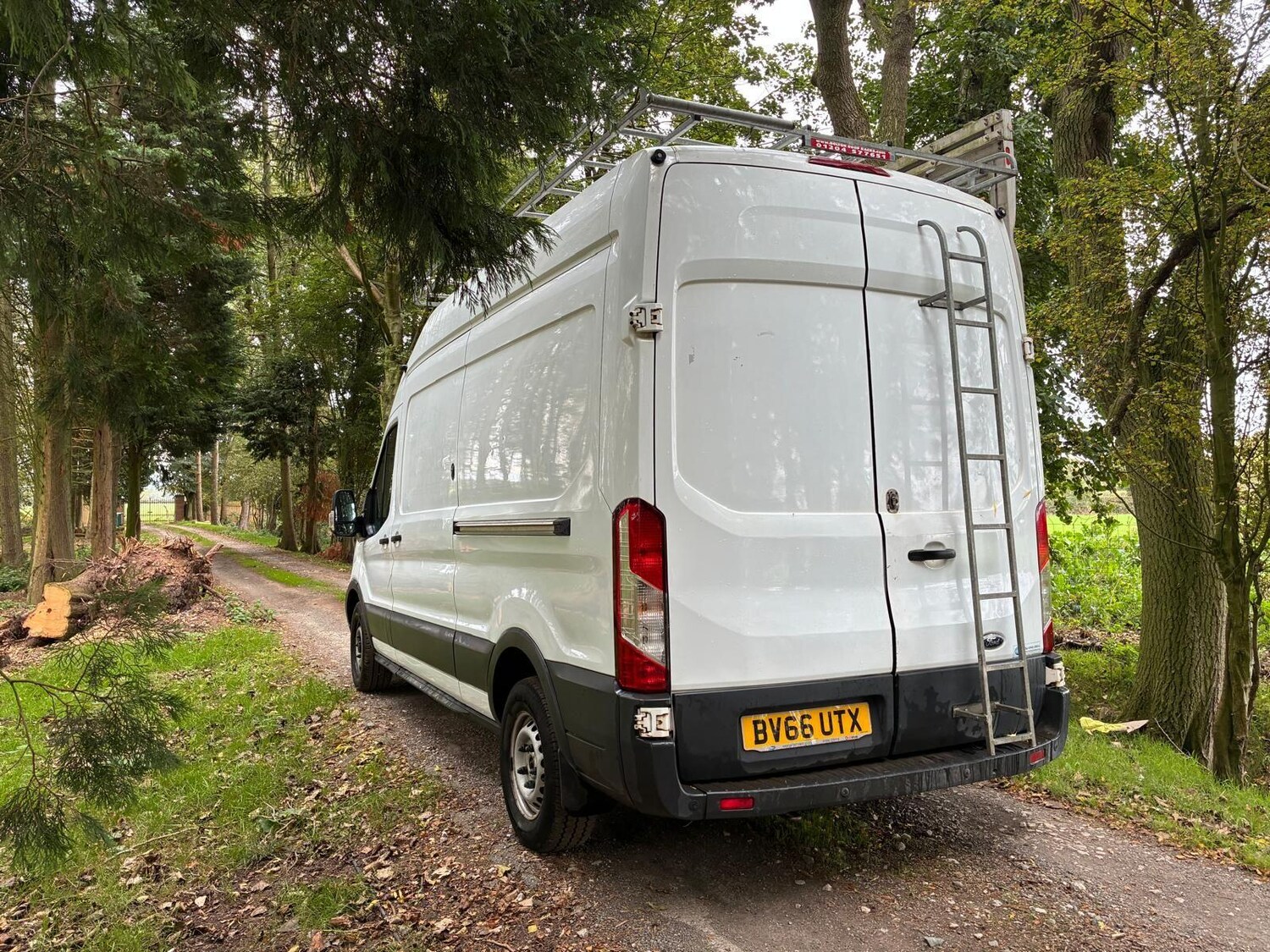 Used Ford Transit 2016 for sale - 76247620: Photo 11