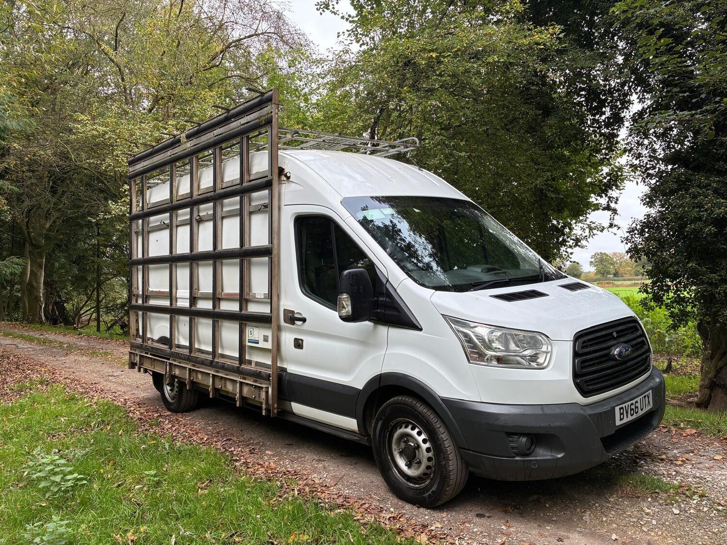 Used Ford Transit 2016 for sale - 76247620: Photo 18