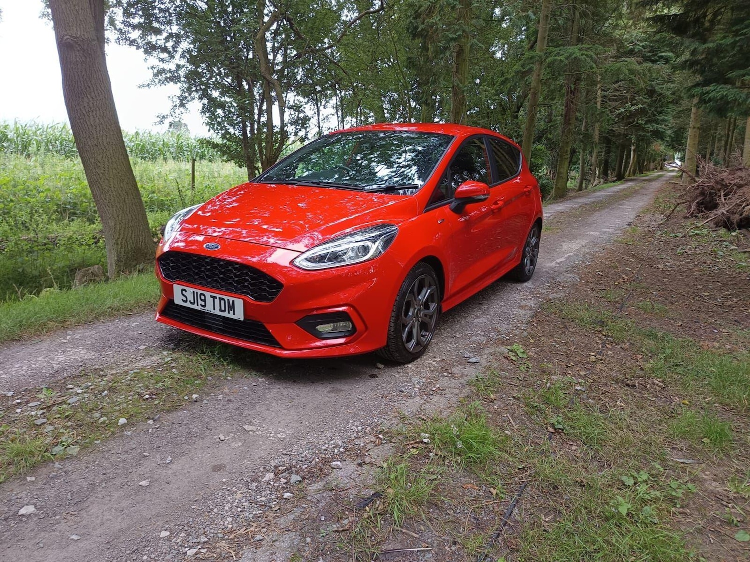 Used Ford Fiesta 2019 for sale - 76905144: Photo 3