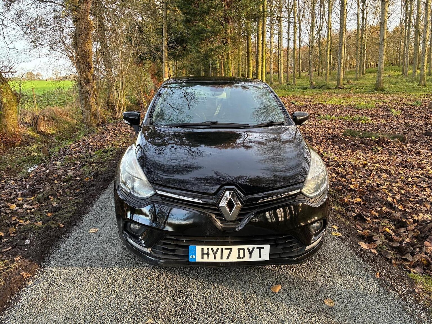 Used Renault Clio 2017 for sale - 76905151: Photo 3