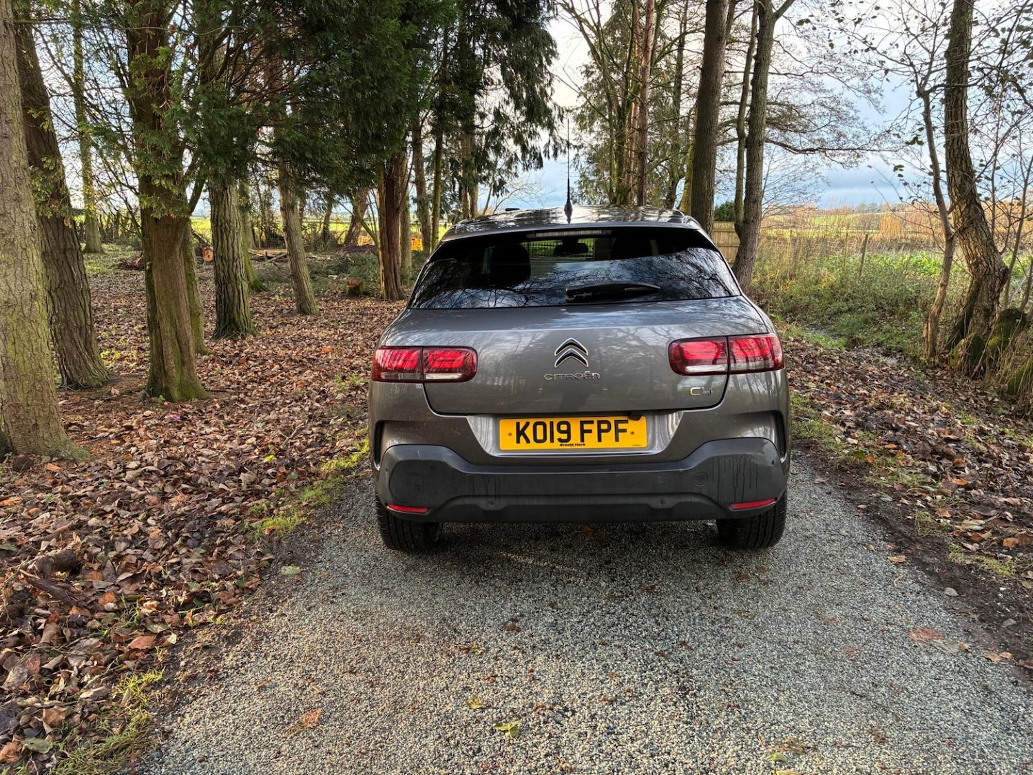 Used Citroen C4 Cactus 2019 for sale - 77014782: Photo 10