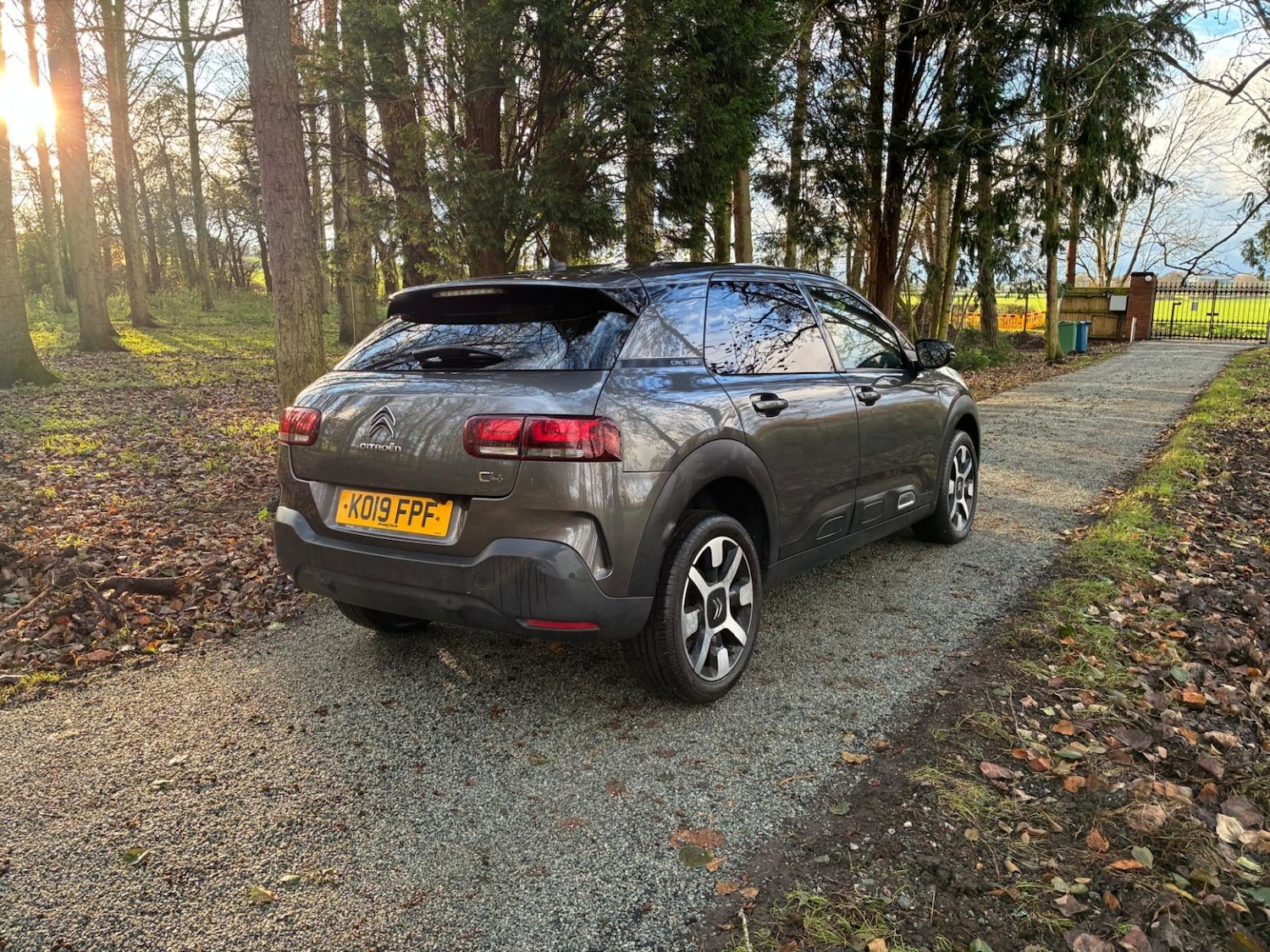 Used Citroen C4 Cactus 2019 for sale - 77014782: Photo 11