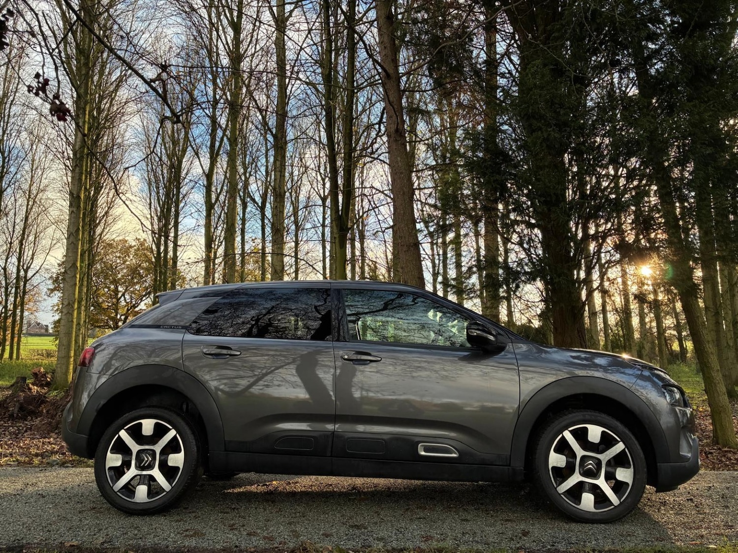 Used Citroen C4 Cactus 2019 for sale - 77014782: Photo 12