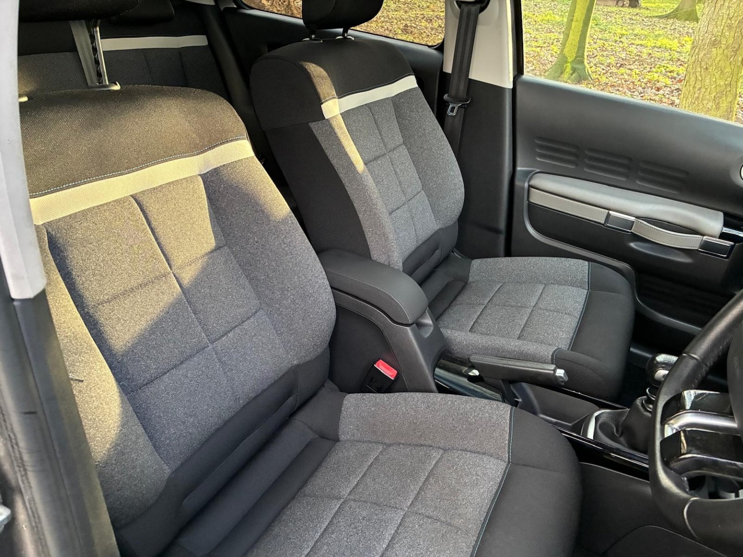 Used Citroen C4 Cactus 2019 for sale - 77014782: Photo 13