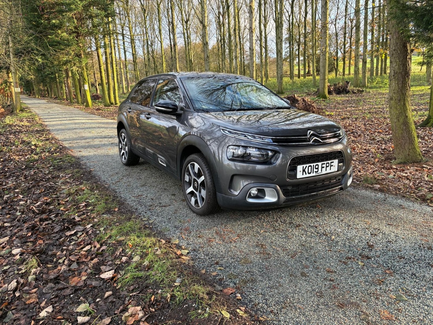 Used Citroen C4 Cactus 2019 for sale - 77014782: Photo 2