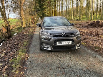 Used Citroen C4 Cactus 2019 for sale - 77014782: Photo