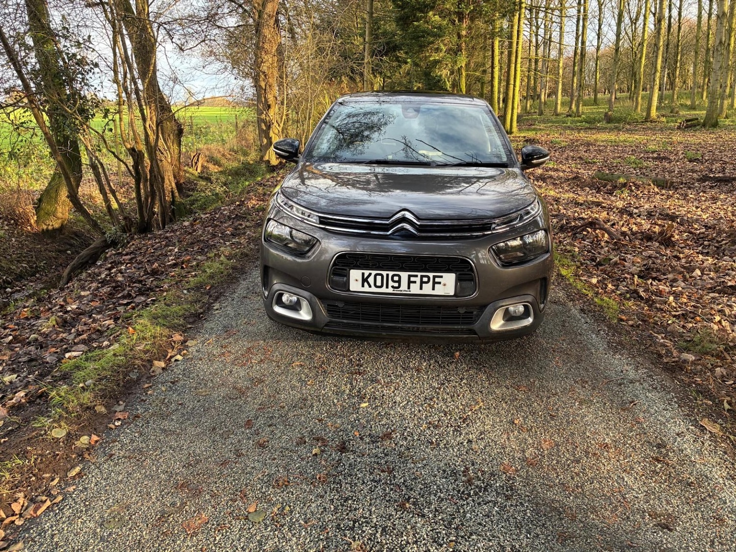 Used Citroen C4 Cactus 2019 for sale - 77014782: Photo 4