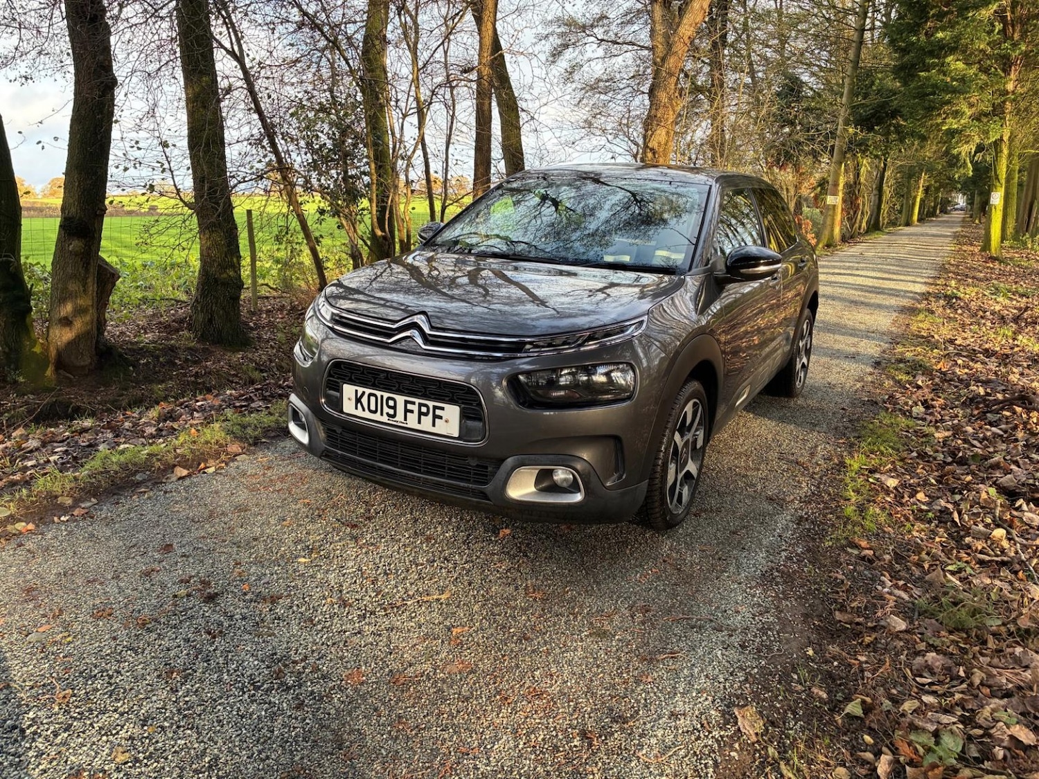 Used Citroen C4 Cactus 2019 for sale - 77014782: Photo 5