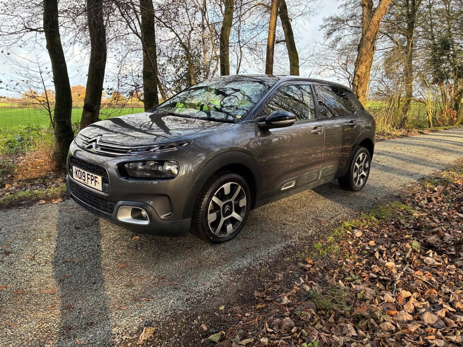Used Citroen C4 Cactus 2019 for sale - 77014782: Photo 6