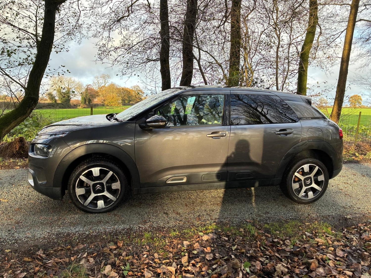Used Citroen C4 Cactus 2019 for sale - 77014782: Photo 7