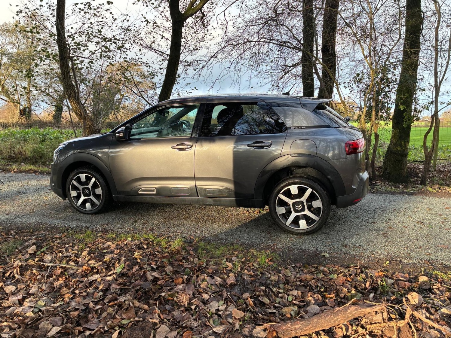 Used Citroen C4 Cactus 2019 for sale - 77014782: Photo 8