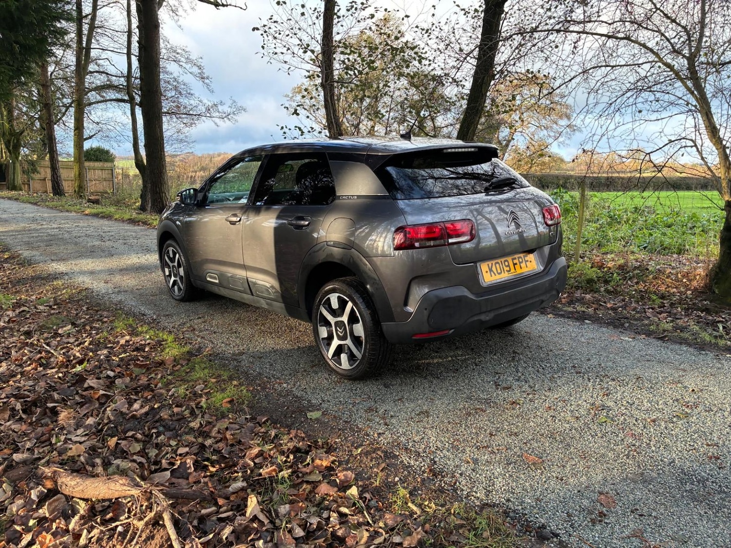 Used Citroen C4 Cactus 2019 for sale - 77014782: Photo 9
