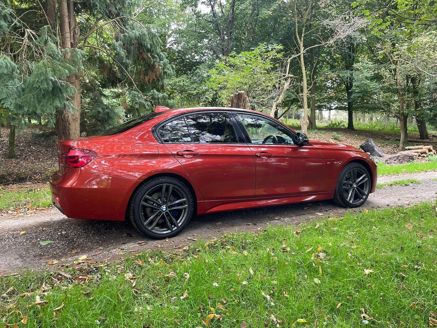 Used BMW 3 Series 2017 for sale - 76315109: Photo 11