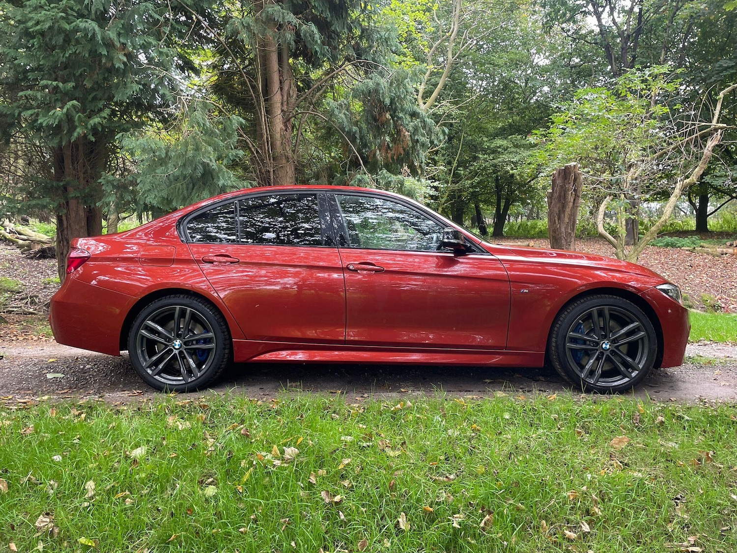 Used BMW 3 Series 2017 for sale - 76315109: Photo 12