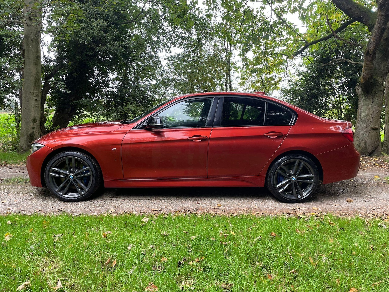 Used BMW 3 Series 2017 for sale - 76315109: Photo 6