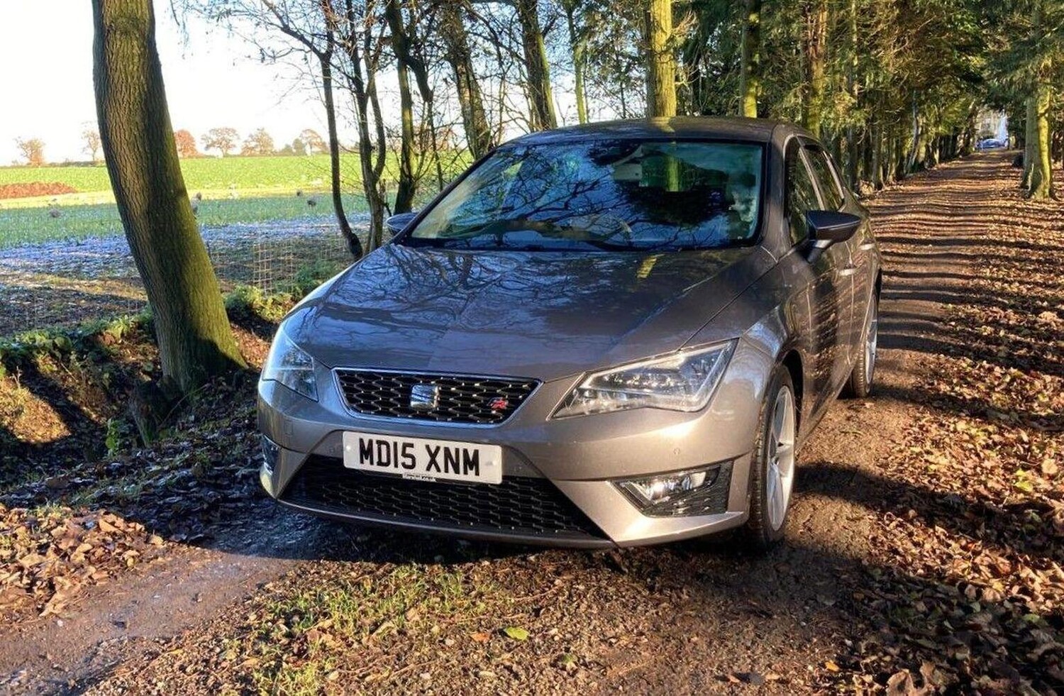 Used SEAT Leon 2015 for sale - 76905137: Photo 7