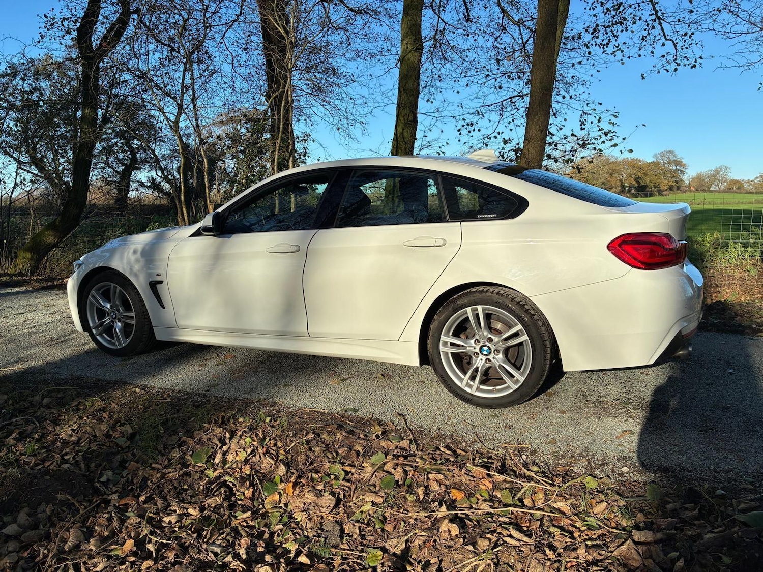 Used BMW 4 Series 2019 for sale - 76658399: Photo 10