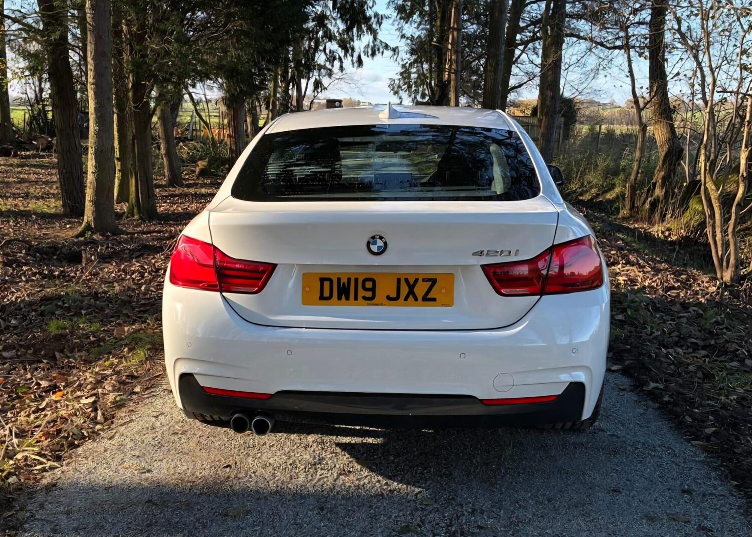 Used BMW 4 Series 2019 for sale - 76658399: Photo 13