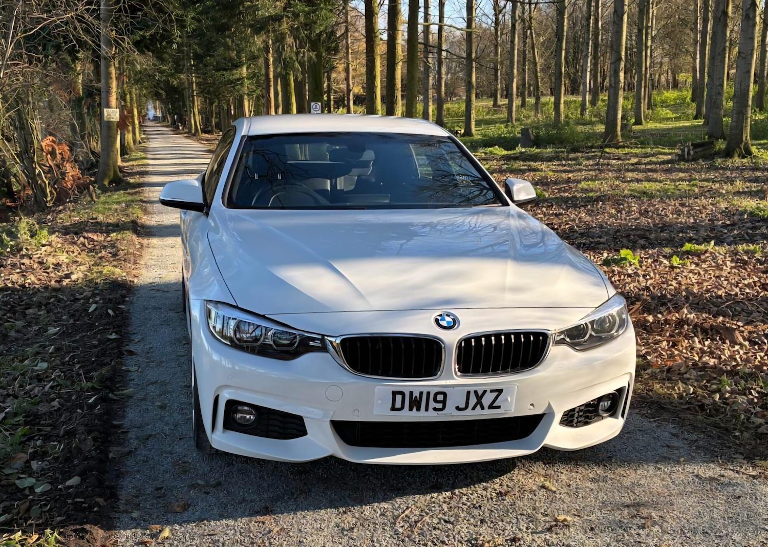 Used BMW 4 Series 2019 for sale - 76658399: Photo 3