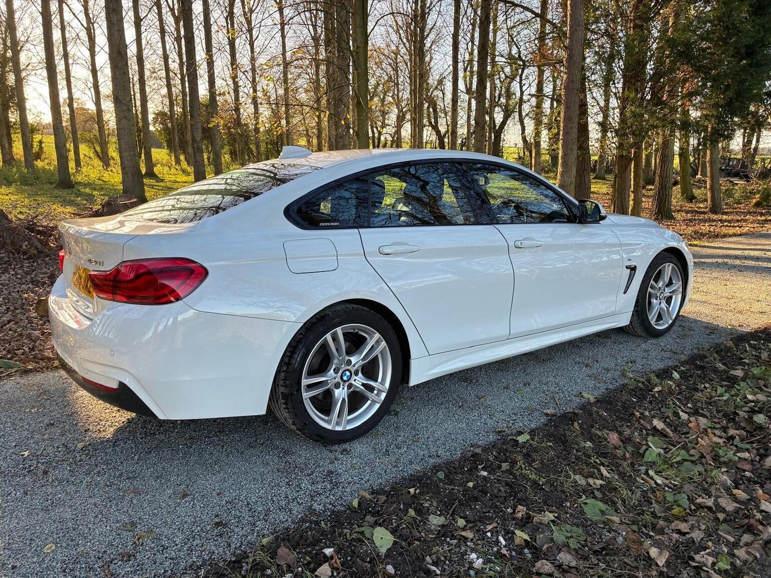Used BMW 4 Series 2019 for sale - 76905141: Photo 16