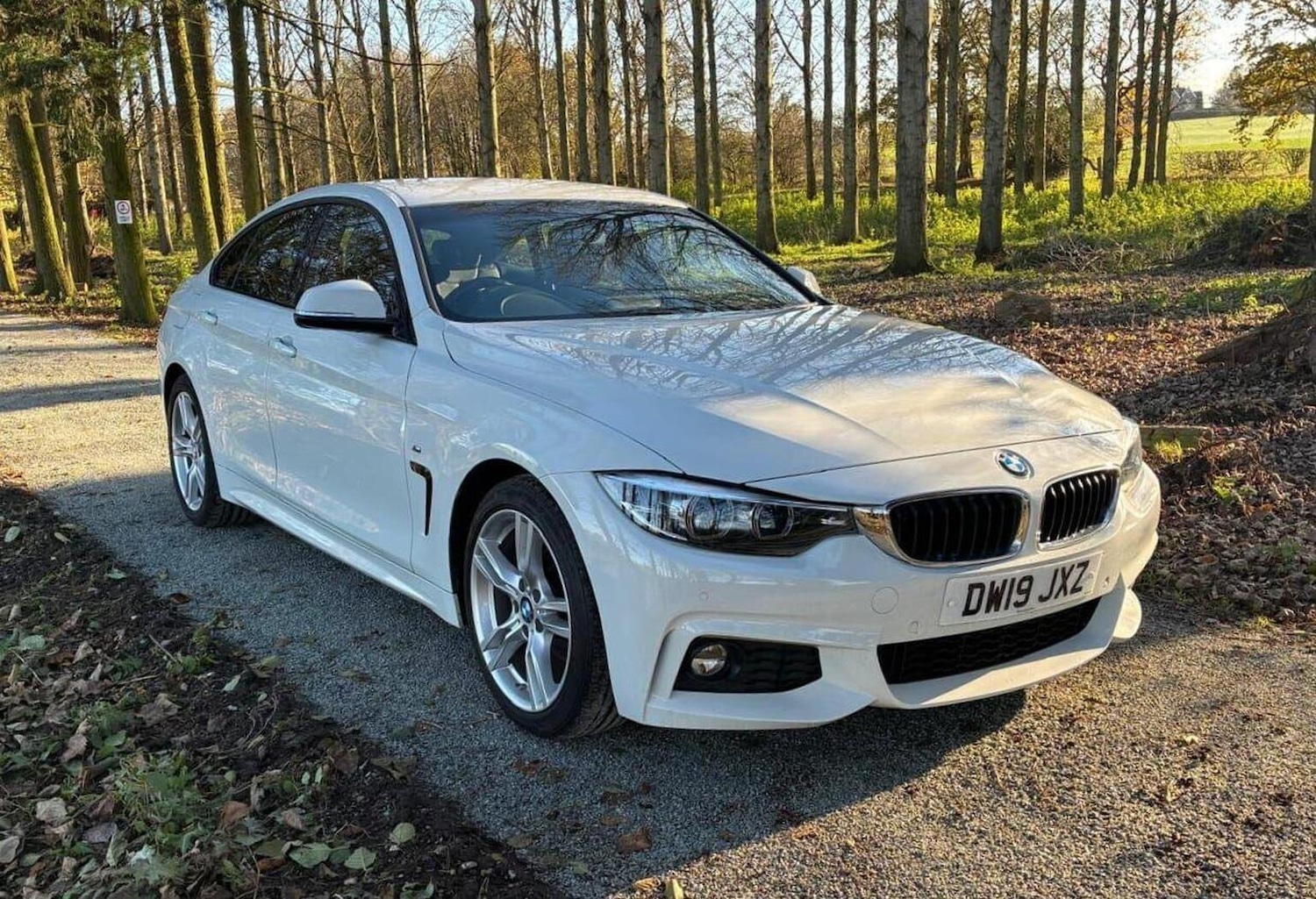 Used BMW 4 Series 2019 for sale - 76905141: Photo 2