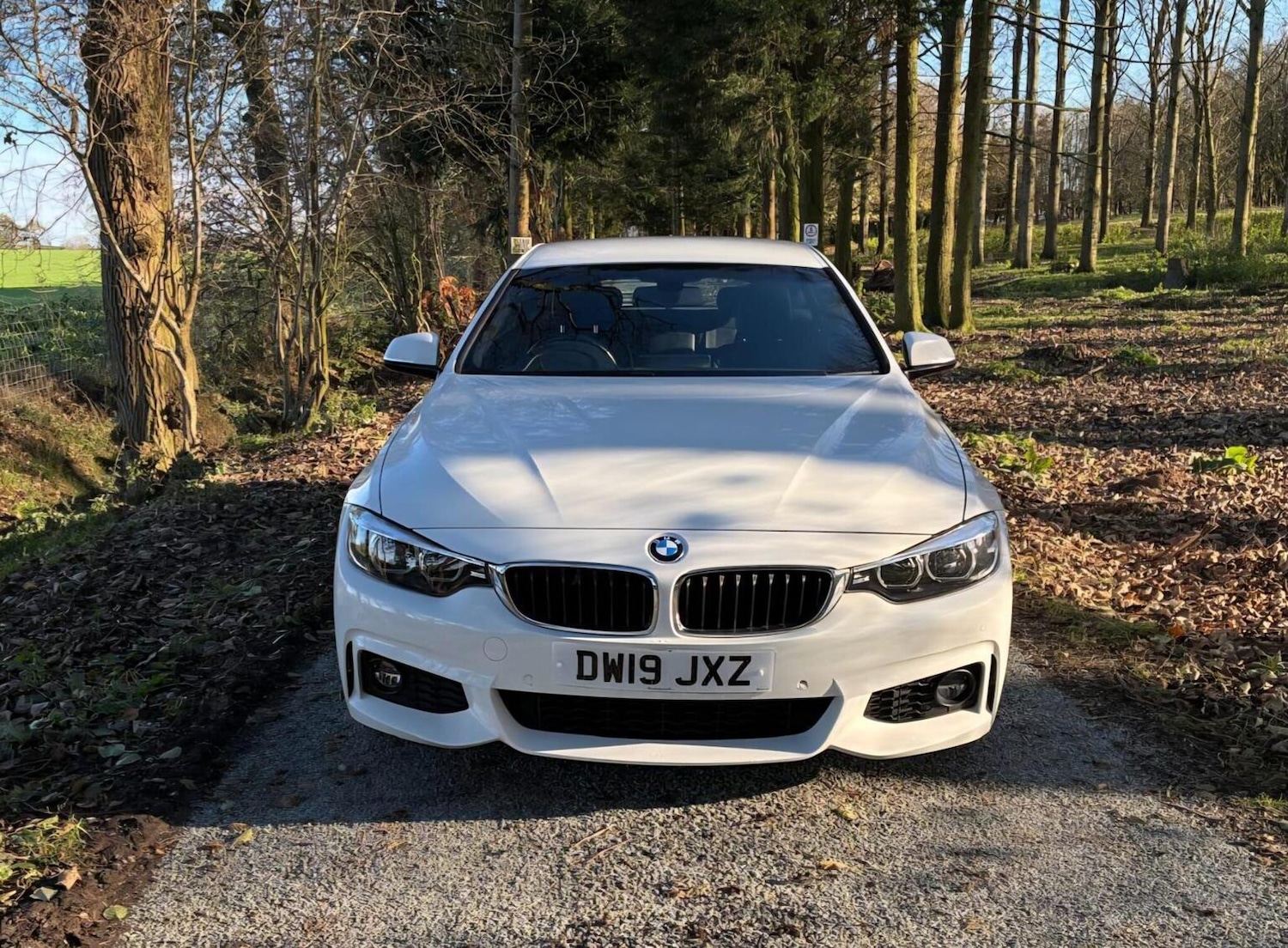 Used BMW 4 Series 2019 for sale - 76905141: Photo 4