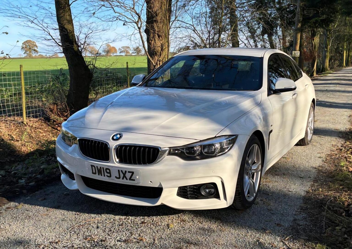 Used BMW 4 Series 2019 for sale - 76905141: Photo 5