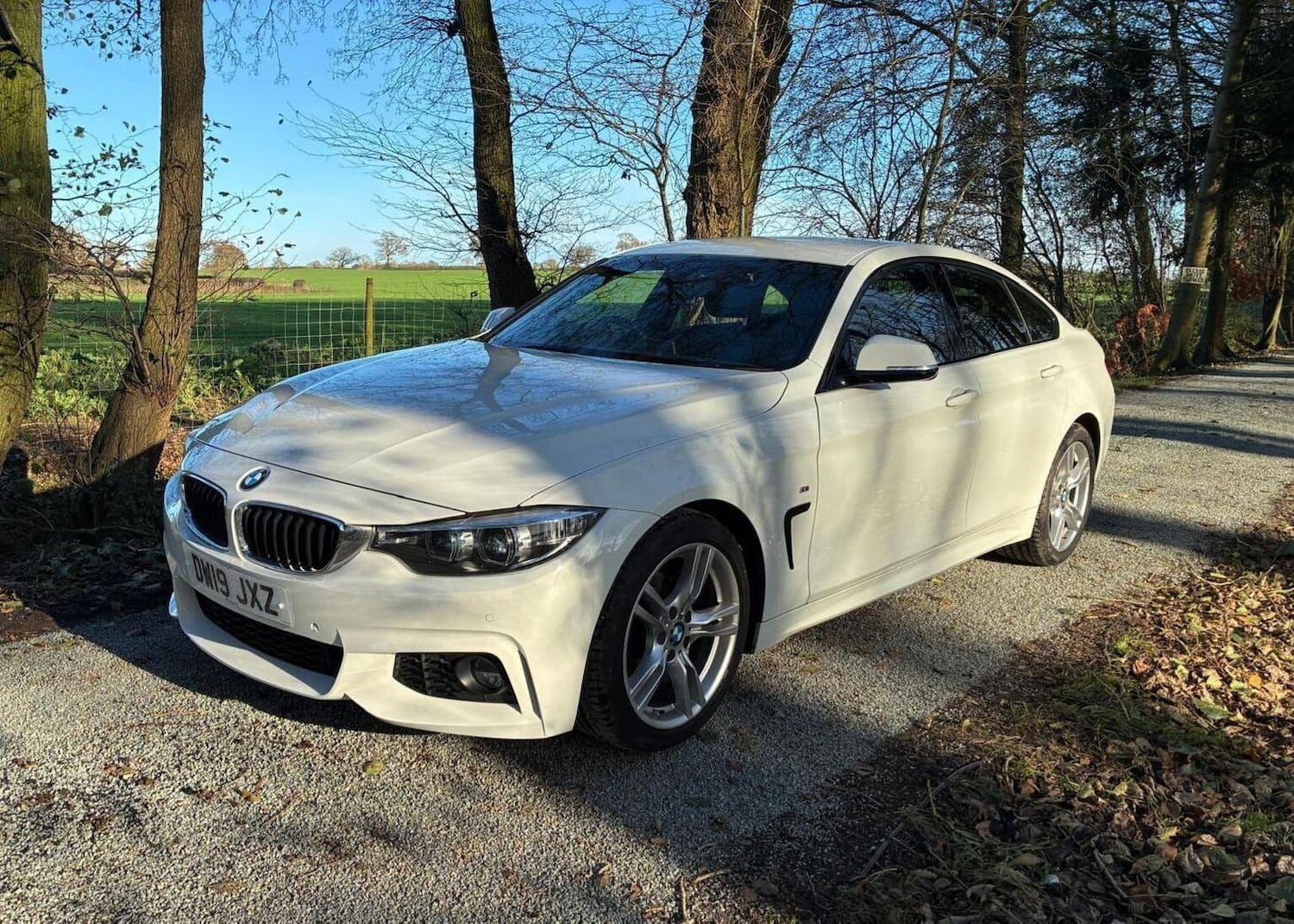 Used BMW 4 Series 2019 for sale - 76905141: Photo 6