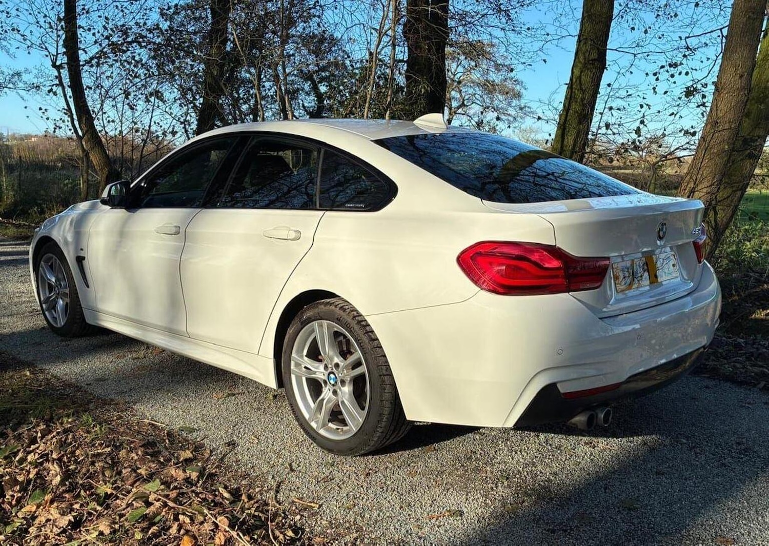Used BMW 4 Series 2019 for sale - 76905141: Photo 9