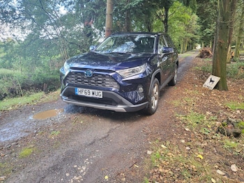 Used Toyota RAV4 2019 for sale - 75839119: Photo