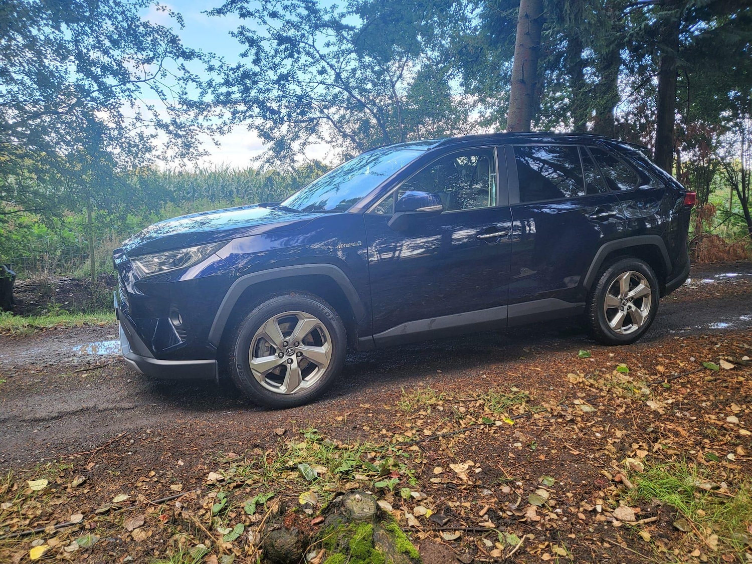 Vehicle 5