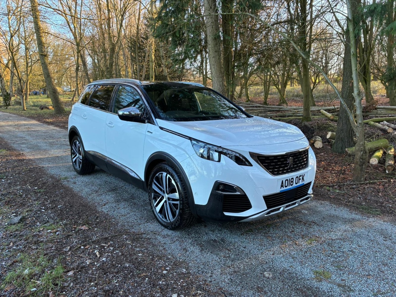 Used Peugeot 5008 2018 for sale - 77140736: Photo 1