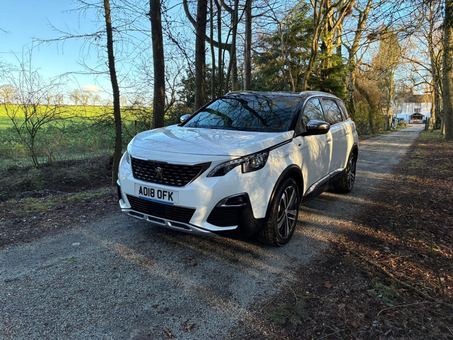 Used Peugeot 5008 2018 for sale - 77140736: Photo 3