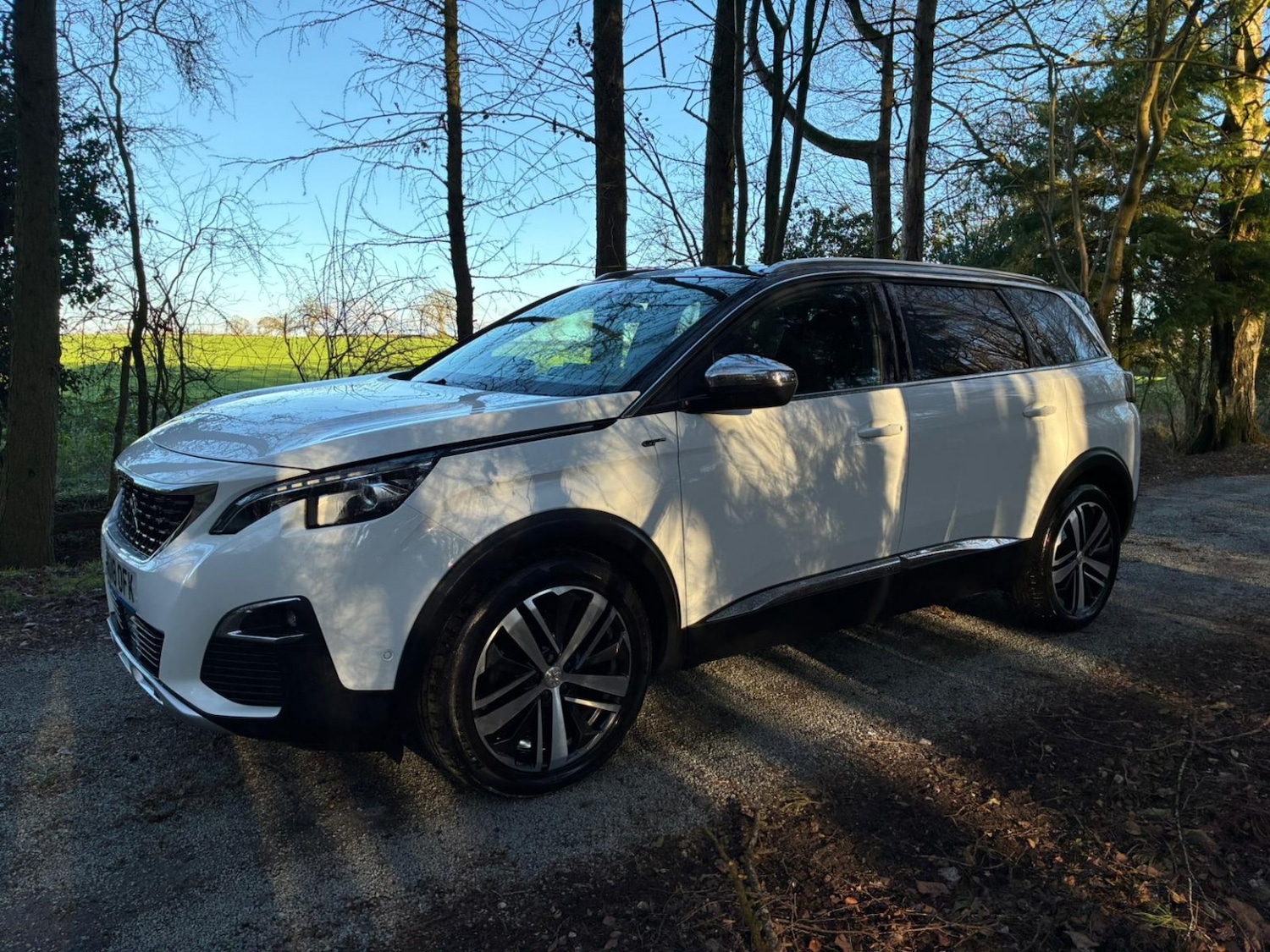 Used Peugeot 5008 2018 for sale - 77140736: Photo 4