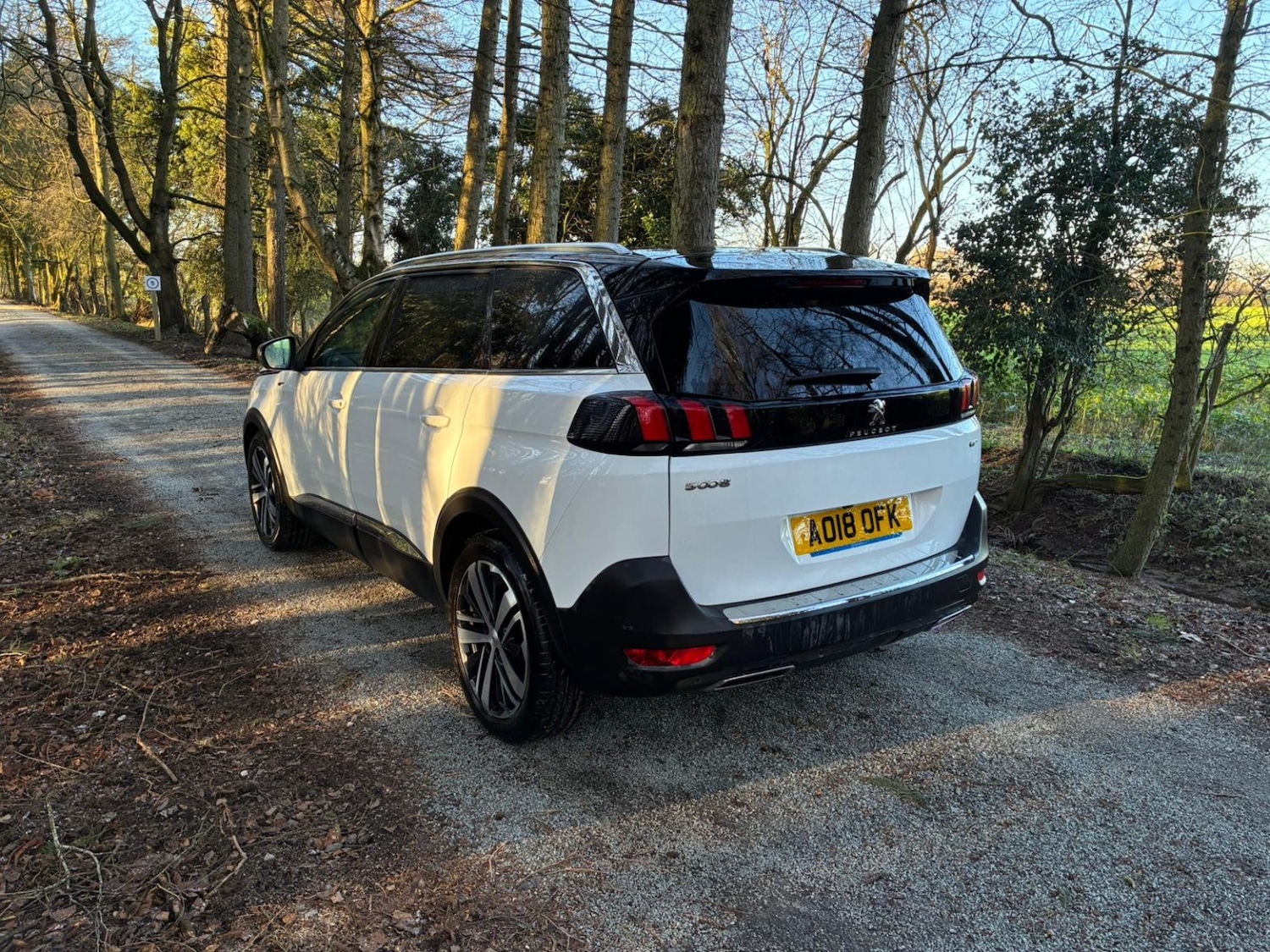 Used Peugeot 5008 2018 for sale - 77140736: Photo 7