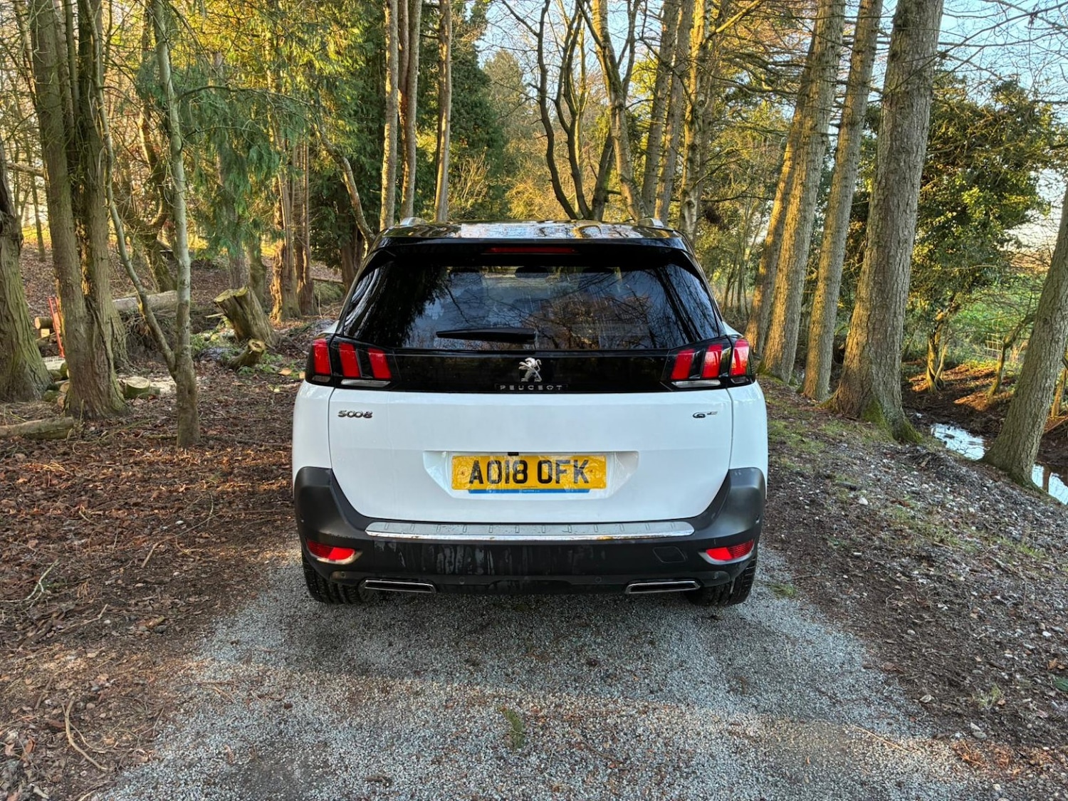 Used Peugeot 5008 2018 for sale - 77140736: Photo 8